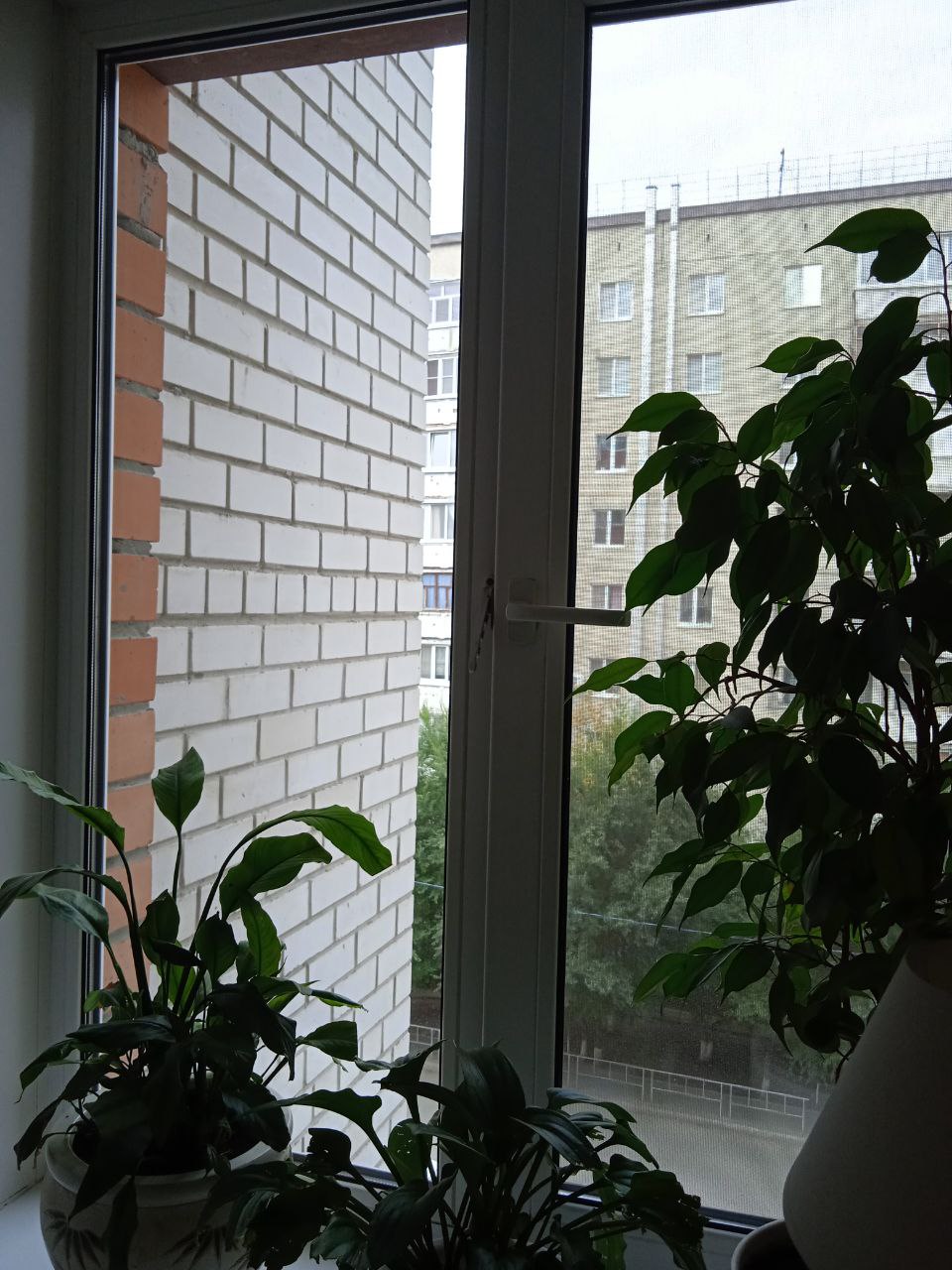 Окно Rehau для квартиры